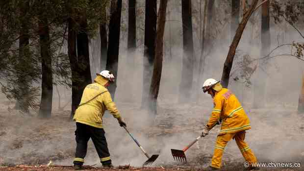 Aussie comedian known for internet satire raises more than $33 million for wildfires