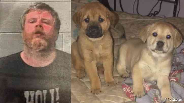 Kentucky man accused of skinning dogs to make “doggy coat”
