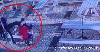 Drinker kicked in the head and hospitalised after attack by pub 'bully'