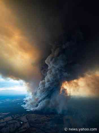 Climate change has Australian wildfires 'running out of control,' experts say