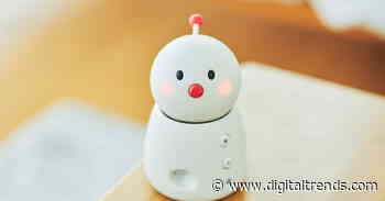 Weird smart home gadgets of CES 2020: Toilet paper robots and more