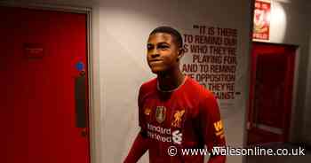 Swansea City transfer news as move for Liverpool's Rhian Brewster edges closer and Andre Ayew linked with Spurs