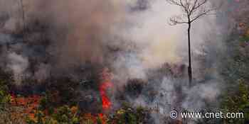 Climate change solutions come to CES not a moment too soon     - CNET