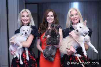 Houston's Hotel Zaza to host Broadway-themed brunch and pet fashion show