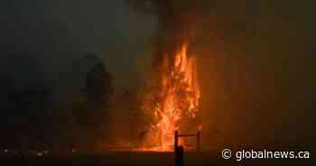 Saskatchewan lends Australia 3 more staff to help fight bushfires