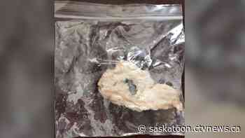 Dog unharmed after Saskatoon owner finds meat with razor blades in her yard