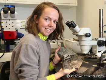 Nova Scotia fossil first example of parental care, say Carleton researchers
