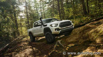 Trucks helped carry the market in 2019 to 17.1 million vehicles sold