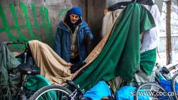 Mayor John Tory defends decision to clear homeless out of Rosedale Ravine Lands