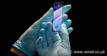 Dead bodies are revealing the secrets of how cancer kills