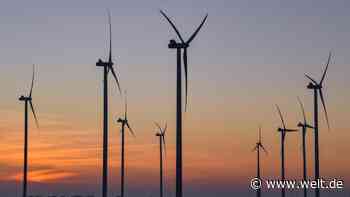 CO2-Ausstoß im Jahr 2019 auf Rekordtief gesunken