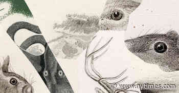 How Humans Can Coexist With Other Animals