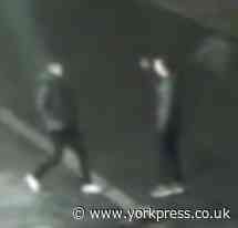 Police appeal after alleged attempted murder in Little Holtby