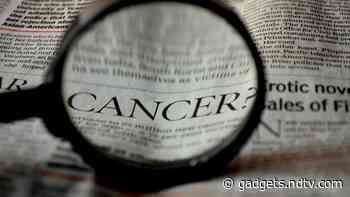 AI Matches Human Brain Cancer Diagnosis, Study Shows