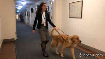 The Seeing Eye: Giving the blind and visually impaired the gift of independence in New Jersey