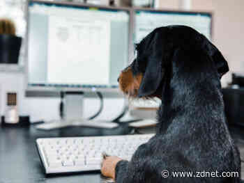 Work better, do more in 2020: Optimize how you organize your work