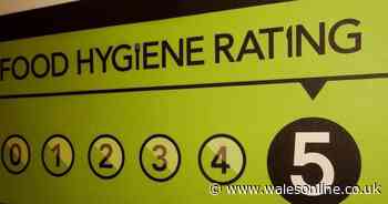 Food hygiene inspector reveals restaurants' dirty secrets