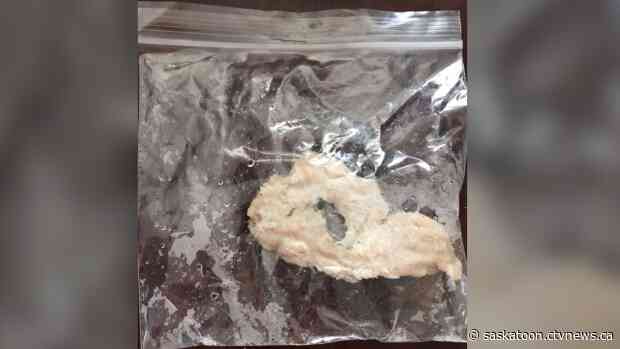 Dog unharmed after Saskatoon owner finds meat with razor blades in her yard