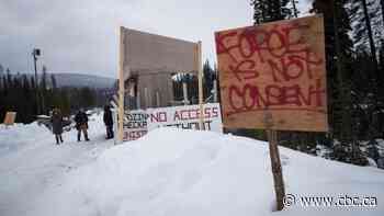 Work must stop on Trans Mountain, Site C, LNG pipeline until First Nations approval, UN committee says