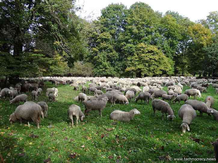 WEF: Future Cities Must Be Sustainable To Be ‘Smart’
