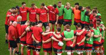 The chosen 38: Welsh rugby's radical new change that's just sparked a scramble to sign star names