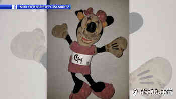 Girl loses Minnie Mouse doll after 40 surgeries, #FindMinnie trending