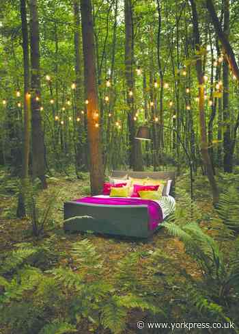 Innovative bed maker Harrison Spinks wins top carbon status