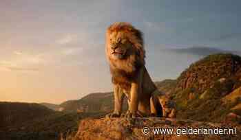 The Lion King was kassucces voor Nederlandse bioscopen