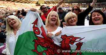 Swansea can't look forward to a single Liberty Stadium gig in 2020 - after 2019's bare line-up