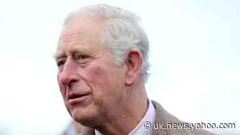 Prince of Wales ‘in despair’ over Australian wildfires
