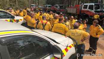 Q&A | David Common answers your questions about the Australia fires
