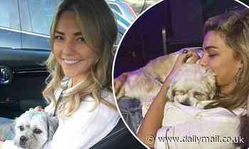 Sam Frost's dogs Rocky and Greg go missing while she's out of the country