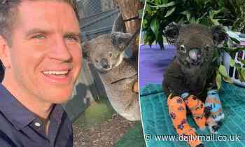 Sunrise weatherman Sam Mac becomes emotional at Port Macquarie Koala Hospital