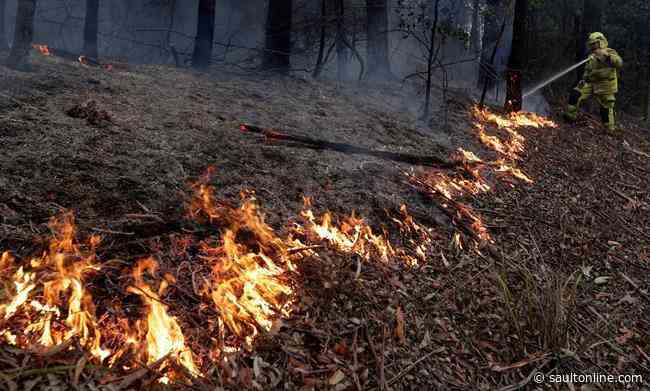 Experts say climate change is driving up the risk of wildfires in Canada
