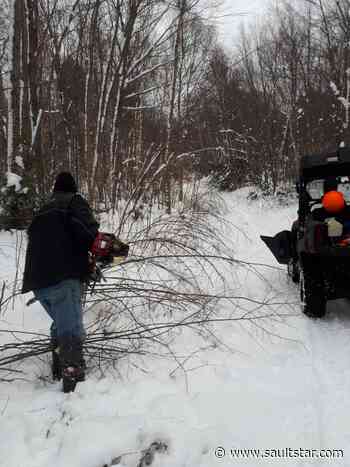 Trails