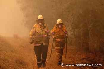 VIDEO: How to help the animals affected by Australia’s wildfires