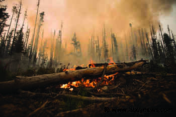 Experts say climate change is driving up the risk of wildfires in Canada