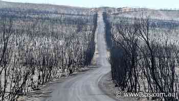 False arson claims spread on social media amid Australian bushfire crisis