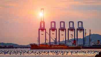 Die 307-Milliarden-Lücke entlarvt Europas großen Mehrwertsteuerbetrug