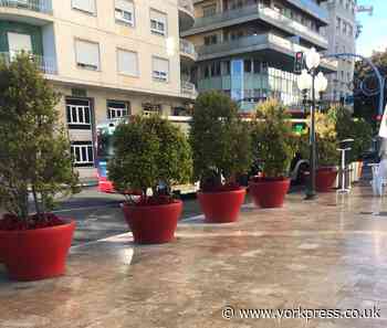 LETTER: How about evergreen security for city centre?