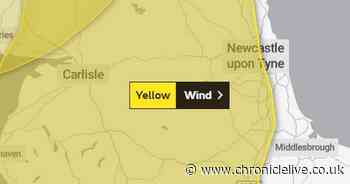 Winds of up to 70mph expected as Met Office issue yellow weather warning