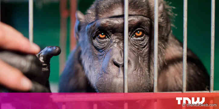 How sharing animal photos online endangers wildlife