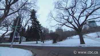 Councillors to consider affordable housing proposals for city-owned land in Riverdale