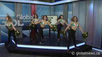 Tryouts for the Saskatchewan Venom cheerleaders begin next weekend