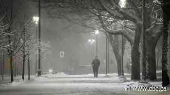 Heavy snow and wind cancel classes, disrupt travel in Maritimes