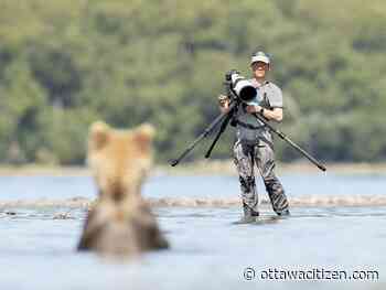 Adrian Cho left Shopify to pursue a new passion: wildlife photography