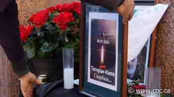 'This can't be real': Multiple Edmontonians among dead in Iran plane crash