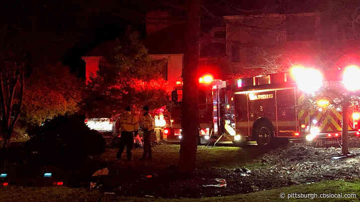 1 Person, 2 Dogs Escape House Fire In Murrysville