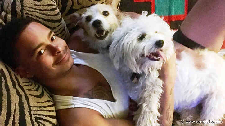 Frumpy Middle-aged Mom: I bought socks for my dog. It scared me.