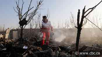 Toronto-area family of 3 among those killed in Iran plane crash